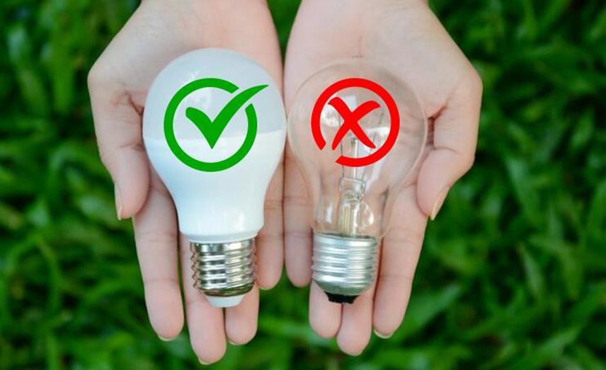 LED or CFL bulbs