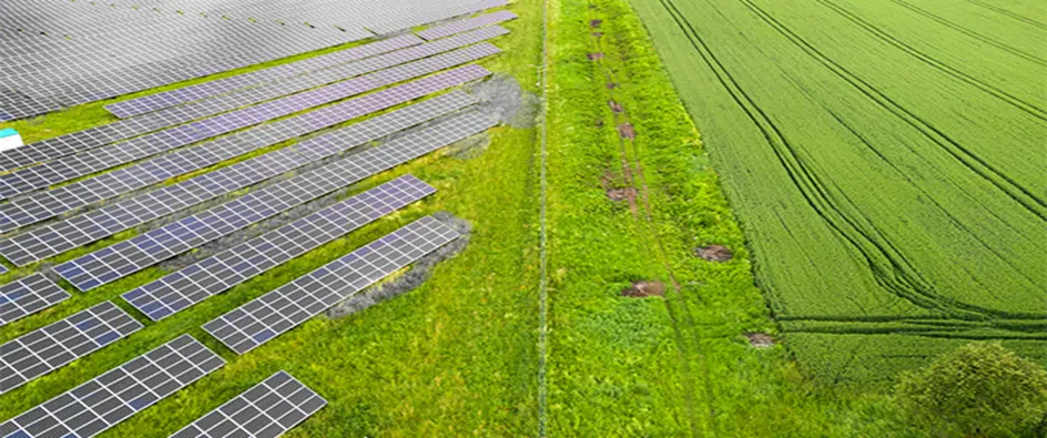 solar farm